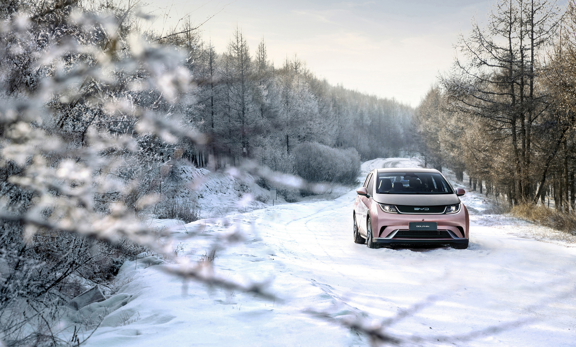 byd dolp[hin