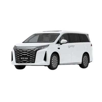 byd-m9-bydlongbienhanoi